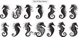 Fototapeta  - Set of sea horse silhouette,