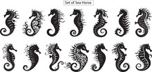 Set Of Sea Horse Silhouette,
