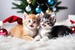Kittens entertain themselves with tinsel and Christmas decorations