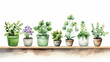 © frimufilms - A set of plants painted in watercolor in clipart style