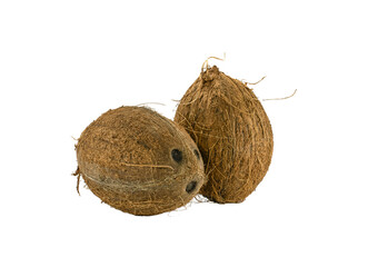 two raw coconut on isolated transparent background