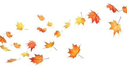 Wall Mural - leaves fluttering in the wind isolated on transparent or white background, png