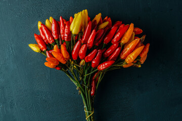Wall Mural - bouquet of chili peppers