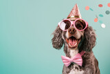 Fototapeta  - Célébration Canine : Chiens en Tenues de Fête pour la Nouvelle Année