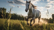 Majestic Horse Captured in Equine Pet Photography
