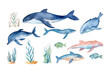 Watercolor vector fish. Set of sea animals.
