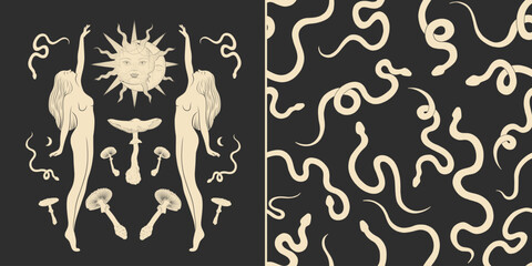 Wall Mural - vector illustration set of moon phases. different stages of moonlight activity in vintage engraving 