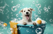 A cute little dog taking a bubble bath with his paws up on bubble the rim of the tub