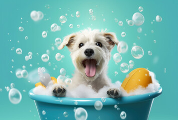 A cute little dog taking a bubble bath with his paws up on bubble the rim of the tub