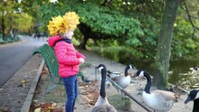 Adorable preschooler girl in yellow maple leaves wreath feeding geese on a nice autumn day in Montsouris park of Paris