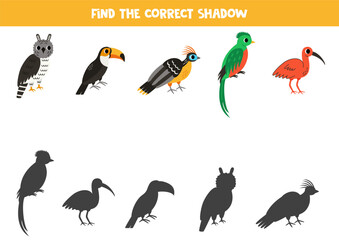 Wall Mural - Find shadows of cute south American animals. Educational logical game for kids.