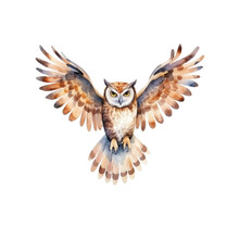 Watercolour Paintings Of A Barn Owl Isolated On White Background As Transparent PNG, Hand Dawn Animal Clipart 300 DPI