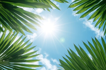 Wall Mural - Palm leaves on the sunbeams and blue sky