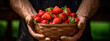 A male farmer holds a strawberry harvest in his hands. Generative AI,