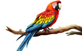 Fototapeta  - A Realistic Image of the Exotic Parrot in Tropical Splendor on a Clear Surface or PNG Transparent Background.