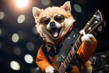 A Chihuahua Dog With Sunglasses Playing Guitar On The Stage Of The Concert Hall. Talented Dog, Professional Musician Performing, Music, Hobby, Festival, Modern Art Collage. Rock Star, Rock'n Roll