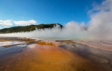 Wall Mural - Yellowstone