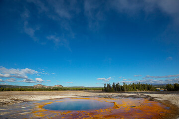 Wall Mural - Yellowstone