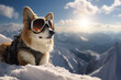 Corgi dog traveler in winter clothes with ski goggles hiking in snowy mountains on winter vacations. Dog traveler