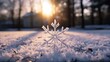 Winter season outdoors landscape, snowflake shape in nature on a forest ground covered with ice and snow, under the morning sun. Seasonal background for Christmas greeting card, New Year wishes