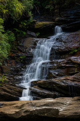 Canvas Print - close-up view of oxford falls, sydney, australia.