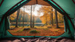 Beautiful autumn forest view from the inside of a camping green tent