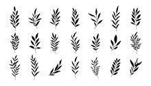 Set Of Silhouettes Of Branches And Leaves. Hand Drawn Vector Botanical Elements