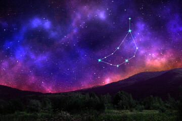Wall Mural - Capricornus (Capricorn) constellation in starry sky over mountain at night