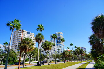 Sarasota bay harbor and bay landscape	