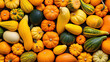 pile of pumpkins, Autumn vegetables food thanksgiving background banner - Top view lots of colorful orange fresh green Hokkaido squash pumpkin ( cucurbita maxima ),