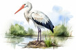 a stork in nature in watercolor art style
