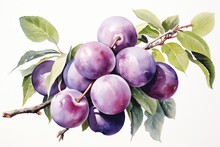 Beach Plum Blossoms In A Watercolor Masterpiece, A Fusion Of Soft Purples And Sandy Hues. Each Stroke Captures The Coastal Charm Of This Seaside Gem.