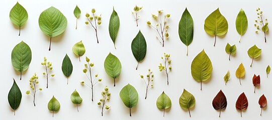 Wall Mural - in a wide-format composition, an abstract background is formed by a collection of leaves against a w