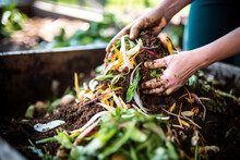 Highlights The Beauty Of The Composting Process, With Organic Matter Turning Into Rich, Fertile Soil, Symbolizing The Cycles Of Life And Renewal
