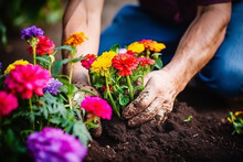 The Variety Of Gardening Practices, From Planting To Weeding To Harvesting, Embodying The Connection Between Humhands And The Soil