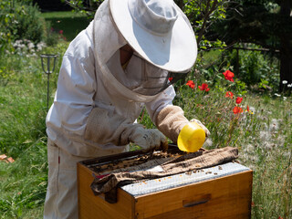 Bienen füttern zur Königiunnenzucht