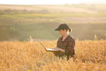 Woman farmer working with laptop on wheat field. Smart farming and digital agriculture..