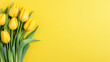 Yellow tulips on a yellow background. Spring tulips