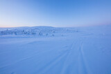 Fototapeta Dziecięca - Winter landscape in Pallas Yllastunturi National Park, Lapland, Finland