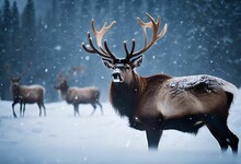 AI Generated Illustration Of An Elk Grazing In A Snowy Winter Landscape