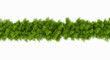 3D Rendered Green Pine Garland Isolated on White Background