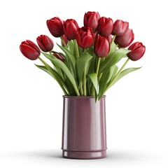 A vase filled with red tulips on a white background