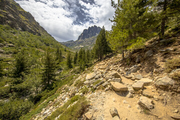 Poster - track through Restonica gorge