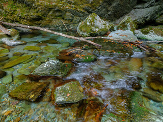 Wall Mural - beautiful view of red maple leaves by the river in autumn, yasui gorge in kochi prefecture in japan,