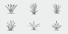 Set Of Icon Cattails Line Art Vintage Vector Illustration Template Icon Graphic Design