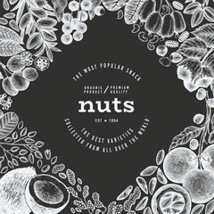 Wall Mural - Hand Drawn Nuts Branch And Kernels  Template. Organic Seed Vector Design. Retro Chalk Board Nut Illustration.