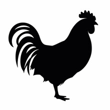 Chicken Black Icon On White Background. Rooster Silhouette