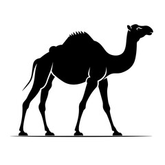 Wall Mural - Camel black icon on white background. Camel silhouette