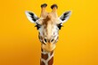  a close up of a giraffe's head on a yellow background with its tongue out and it's eyes wide open and it's tongue out.