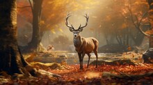 Beautiful Reindeer In A Autumn Environment, With The Leaves On The Ground Emphasizing Its Assured Gait.